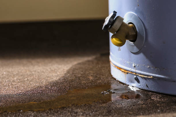 Best Water damage restoration mold remediation  in Galesburg, MI