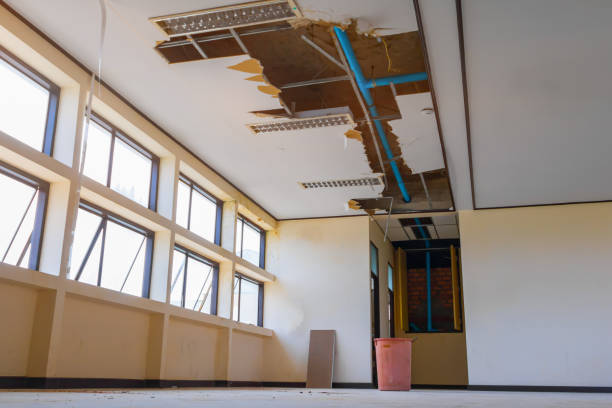 Best Water damage contractors near me  in Galesburg, MI