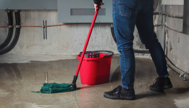 Best Water damage restoration services  in Galesburg, MI