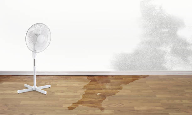 Best Flood restoration services  in Galesburg, MI
