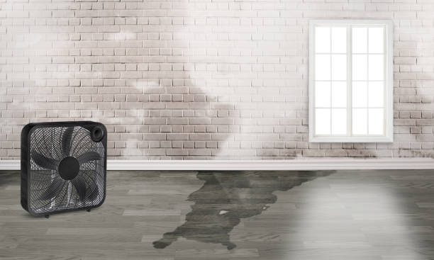 Best 24-hour water damage restoration  in Galesburg, MI