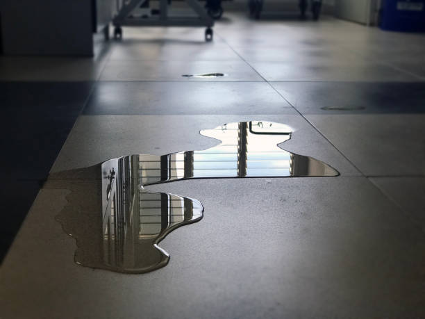 Best Water damage cleanup near me  in Galesburg, MI