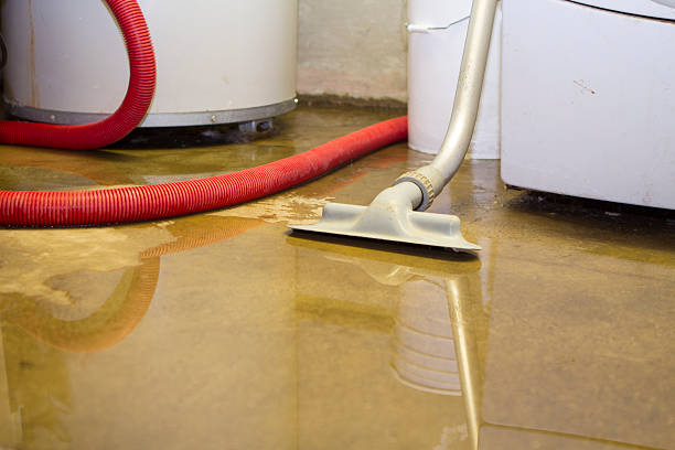 Best Residential water damage restoration  in Galesburg, MI