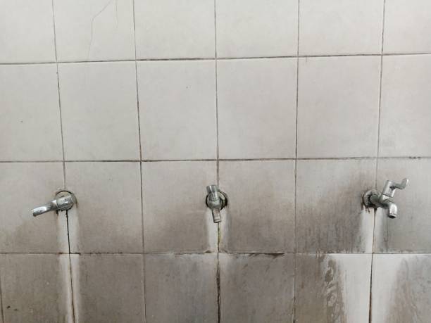 Best Emergency water extraction  in Galesburg, MI