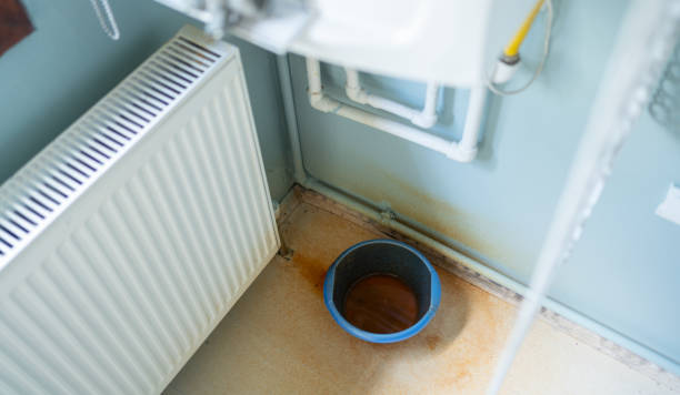 Best Carpet water damage restoration  in Galesburg, MI
