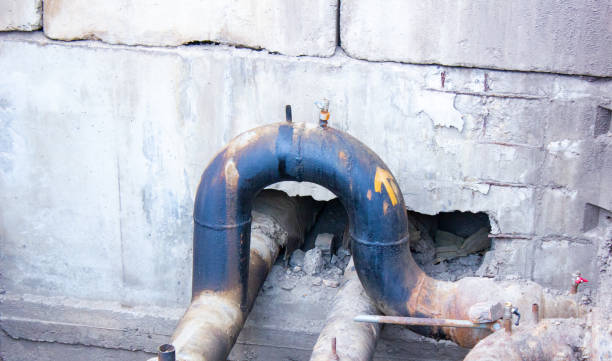 Best Mold removal after water damage  in Galesburg, MI