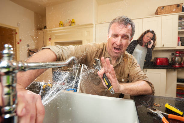 Best Flood damage cleanup  in Galesburg, MI